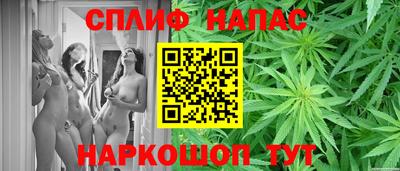 крисы Заводоуковск