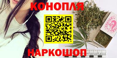 крисы Заводоуковск