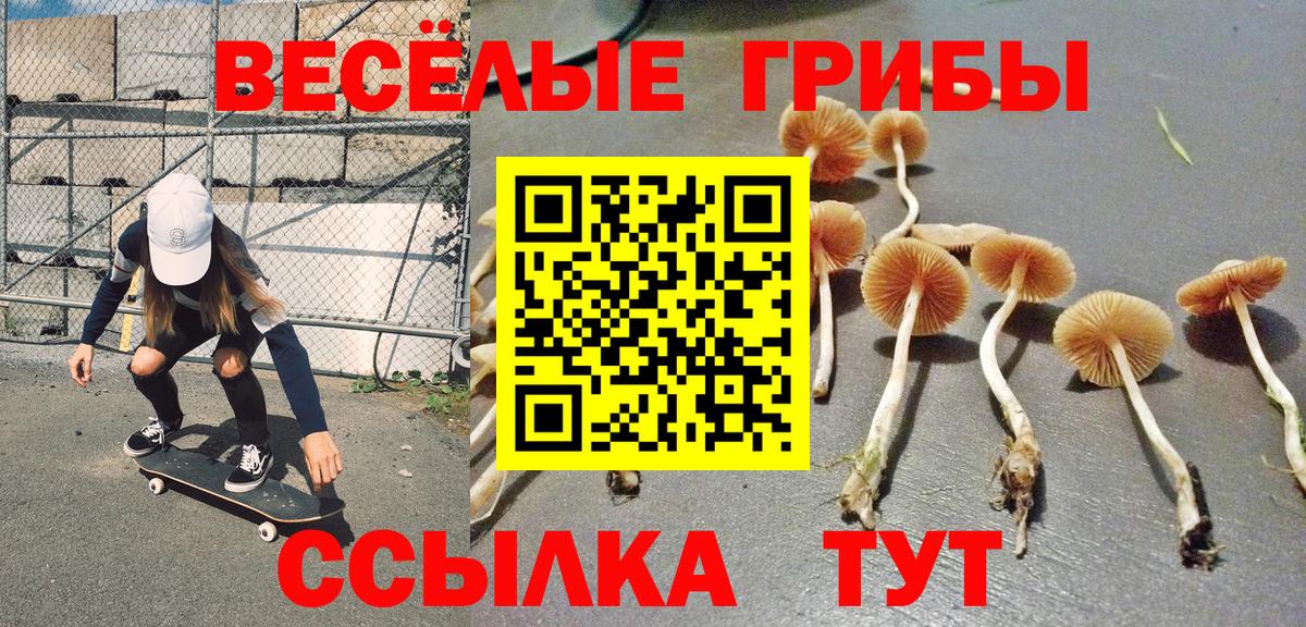 Псилоцибиновые грибы MAGIC MUSHROOMS Лабытнанги